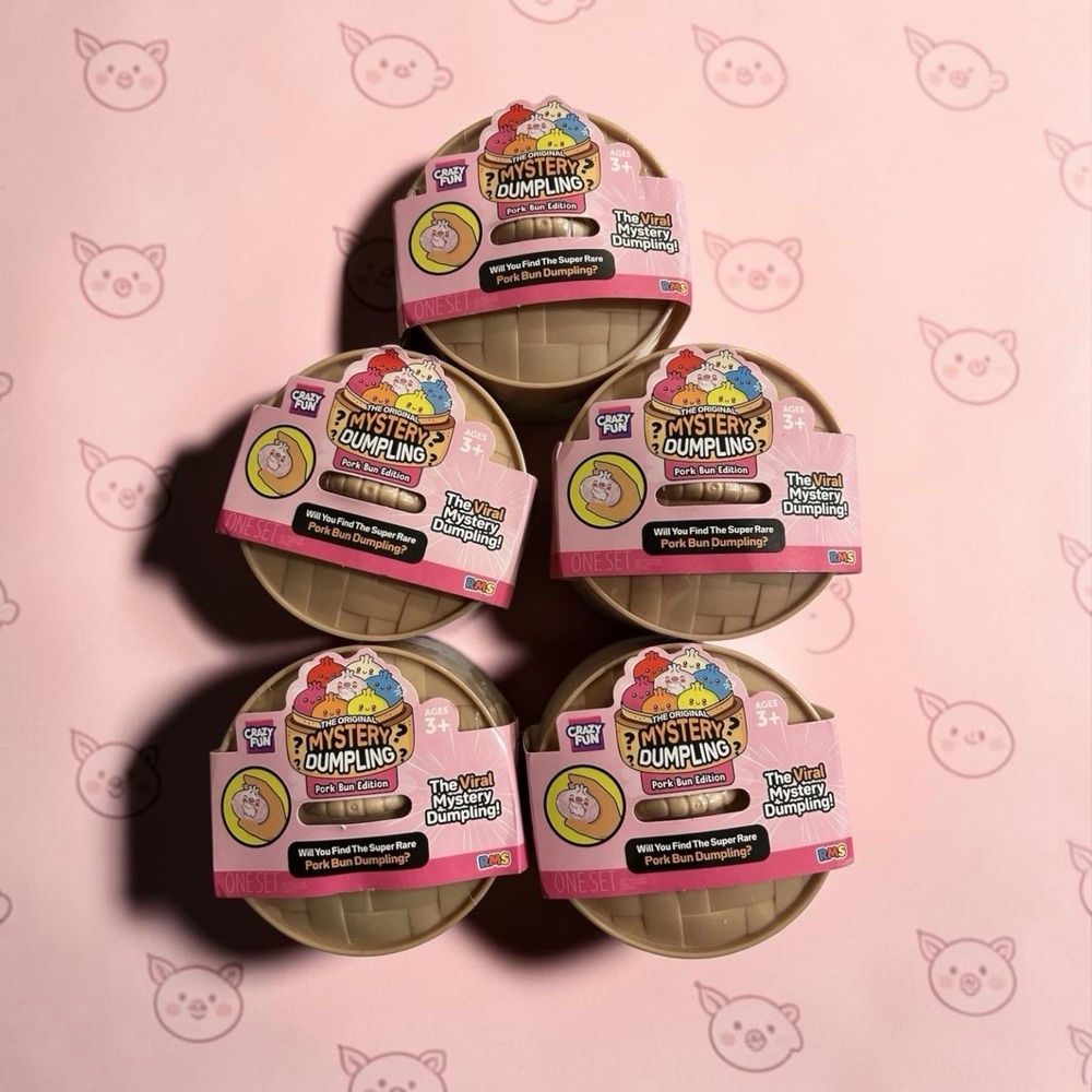 5 SEALED Crazy Fun RMS Pork Bun Squishy Bun Set